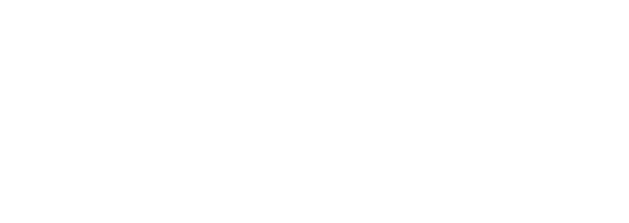 Seamless Building Systems white logo